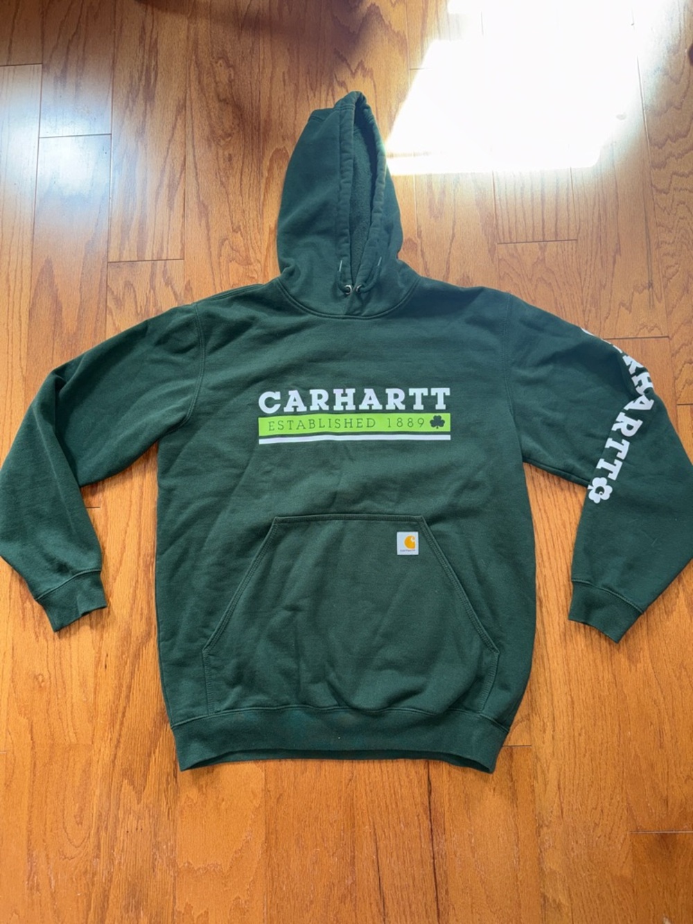 Carhartt Men's Loose Fit Forest Green Hooded Sweatshirt